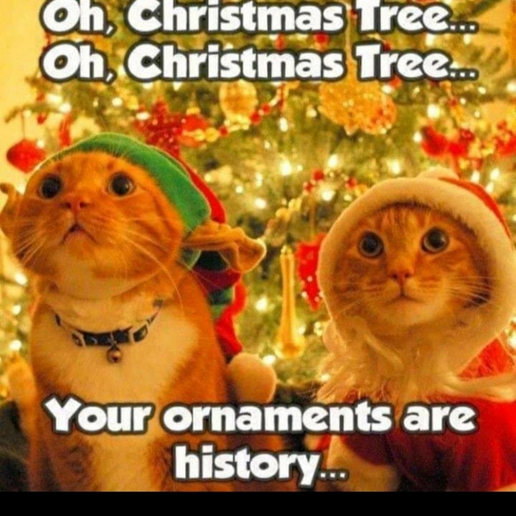 Just for laughs and giggles - Picture 3 of 15